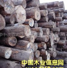 �����ֈ�(ch��ng)ֱ�N�M(j��n)�ڰ���ԭľ�����ɰ��b���������