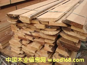 ����(y��ng)�̓r�����������Ҏ(gu��)����b��������ĬF(xi��n)؛