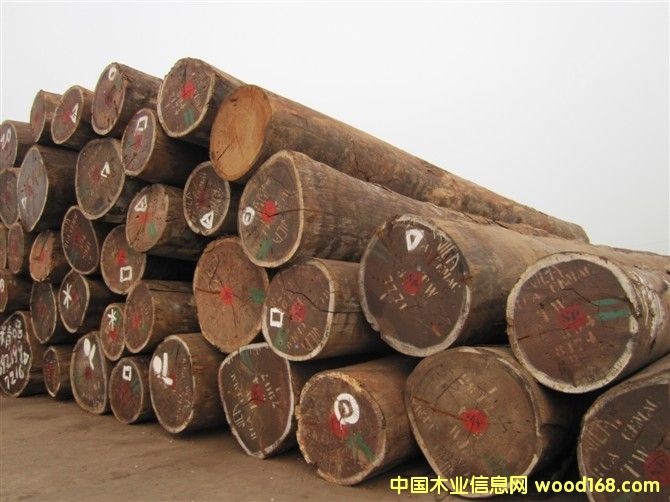 �G̴��Ԕ��(x��)��B