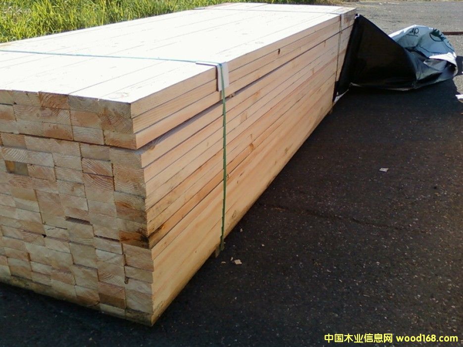 花旗松的詳細介紹