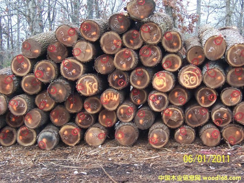 ����ԭľ��Ԕ����B