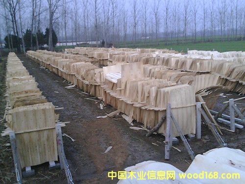 ��Ƥ��Ԕ��(x��)��B