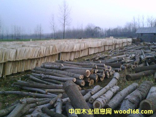 ��Ƥ��Ԕ��(x��)��B