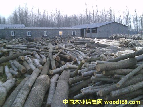 ��Ƥ��Ԕ��(x��)��B