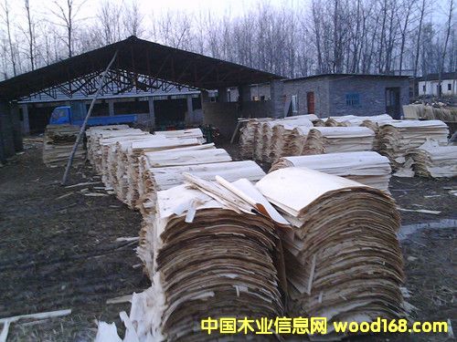 ��Ƥ��Ԕ��(x��)��B