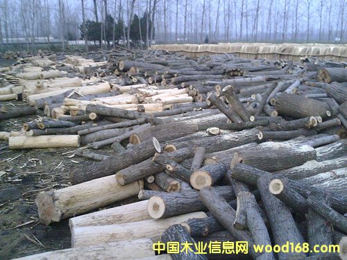 ��Ƥ��Ԕ��(x��)��B