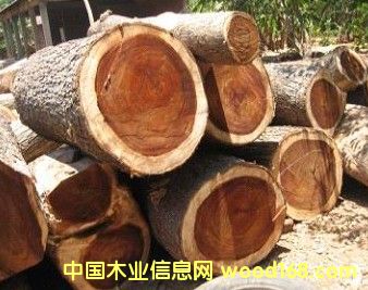 ̩�����zľ��Ԕ��(x��)��B