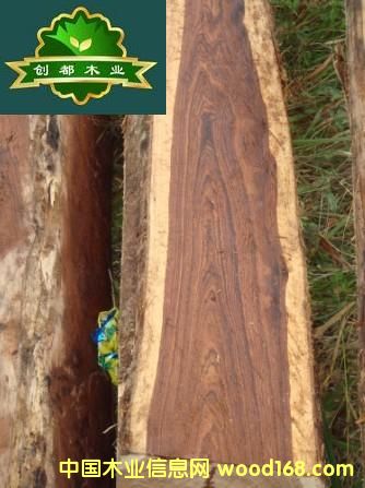 ����Ɲ�S̴��Ԕ��(x��)��B