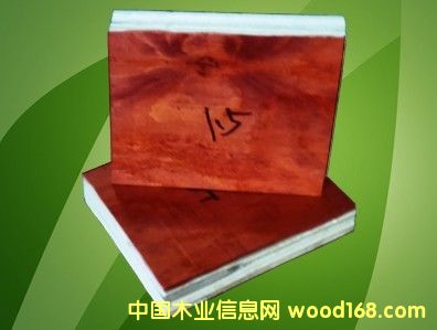 ����ģ���Ԕ����B