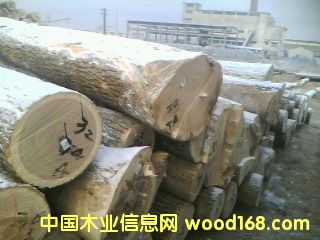 �؃�(y��u)ˮ����ԭľ`��Ԕ��(x��)��B