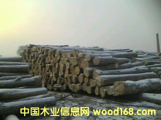 �؃�(y��u)��ľ��Ԕ��(x��)��B