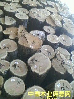 �؃�(y��u)�ľԭľ��Ԕ��(x��)��B