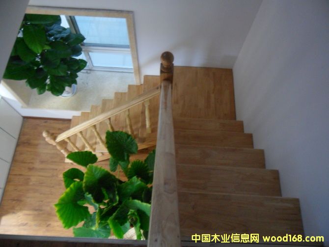 㑲����ݵ�Ԕ��(x��)��B