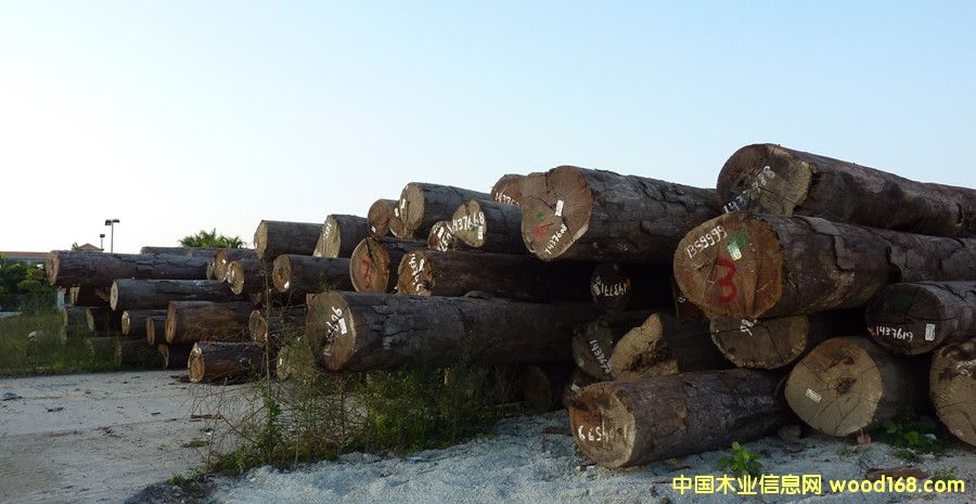 �����ߙnԭľ��Ԕ��(x��)��B