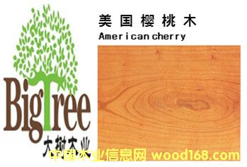 ��������ľ��Ԕ��(x��)��B