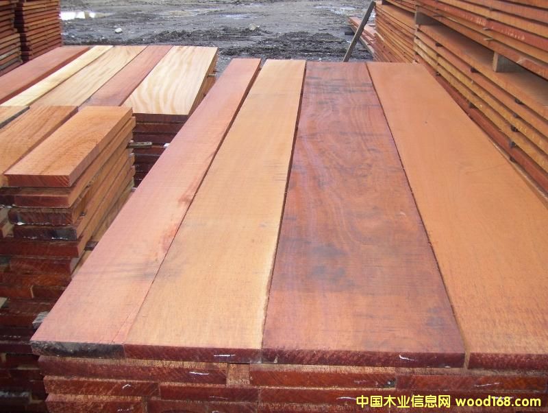 賈托巴的詳細(xì)介紹