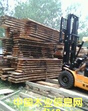 ��ľ����������Ԕ��(x��)��B