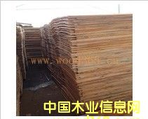 ��ľ�ΰ��Ԕ��(x��)��B