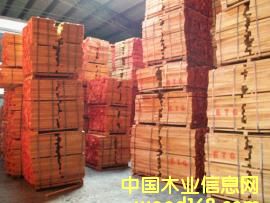 ��ľ����