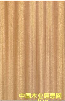 ��ľƬ�N���Ԕ����B