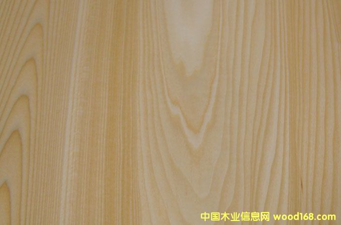 ��(sh��)ľ�ľľƤ��Ԕ��(x��)��B