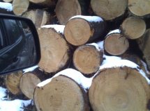 ��������ԭľ��Ԕ��(x��)��B