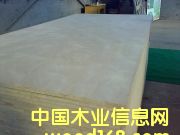 �����T�װ��Ԕ��(x��)��B