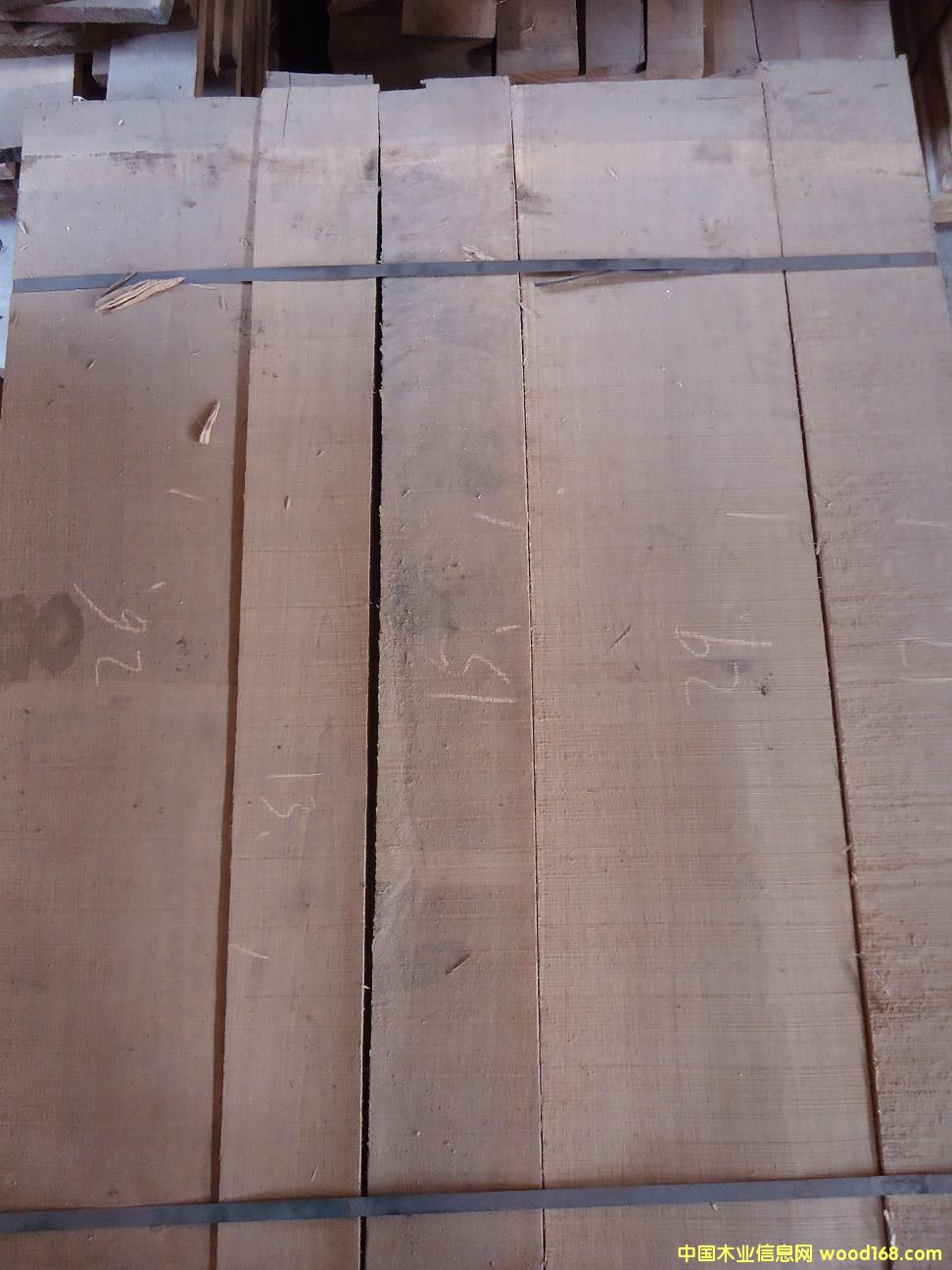 ��(y��u)�x��(j��)�����ĵ�Ԕ��(x��)��B