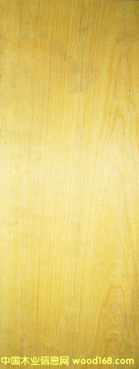 �����S��̴��Ԕ����B