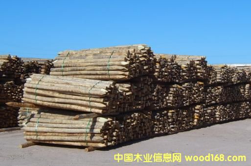 ���������ԭľ