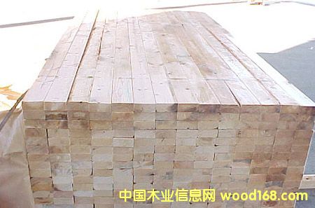 ɼľ����Ԕ��(x��)��B