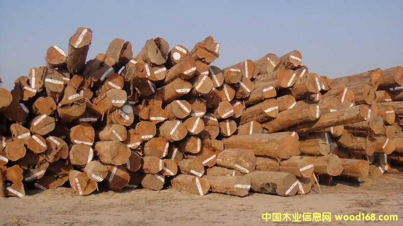 ������ľԭľ��Ԕ����B