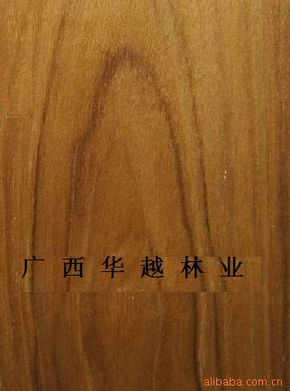 ��ľ�ذ���2