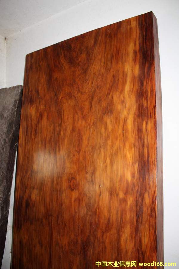 �t��ɼ���