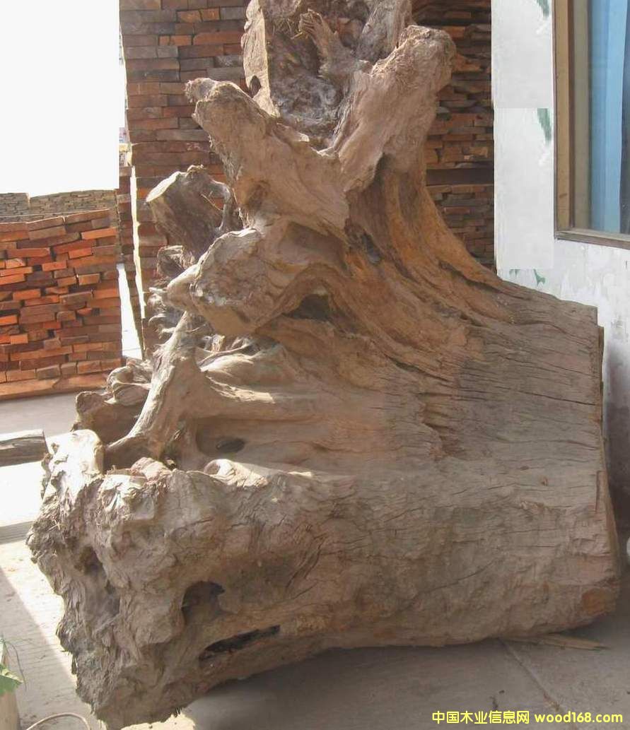 �������-�䶵2