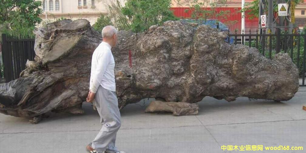 �����z骘���5