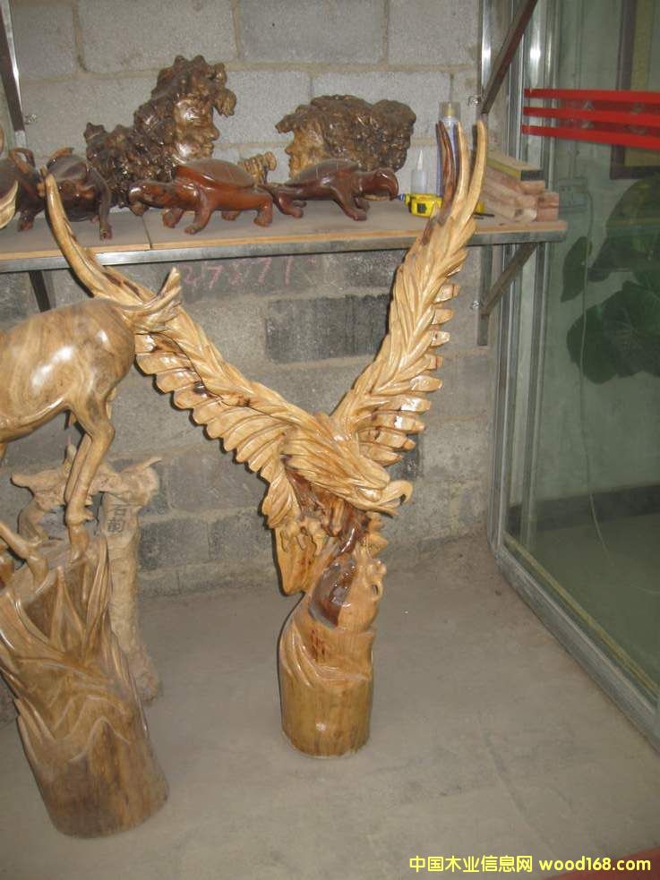 ��z�ľ��ˇƷ6