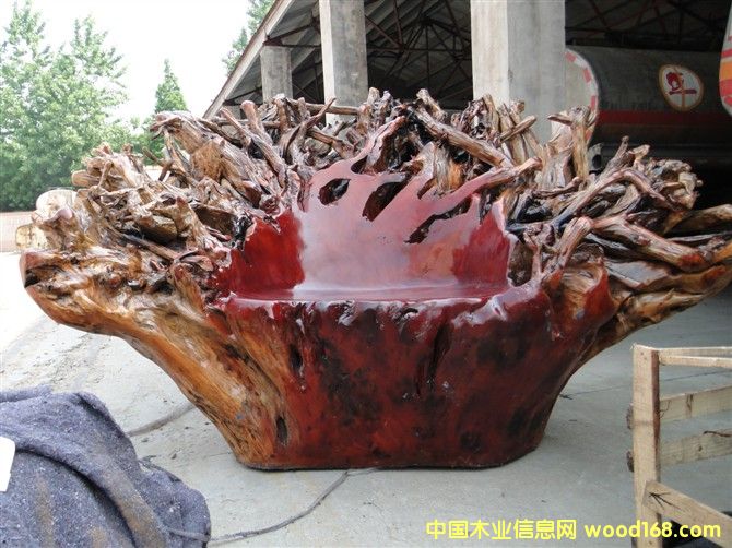 �t��ɼ������ 