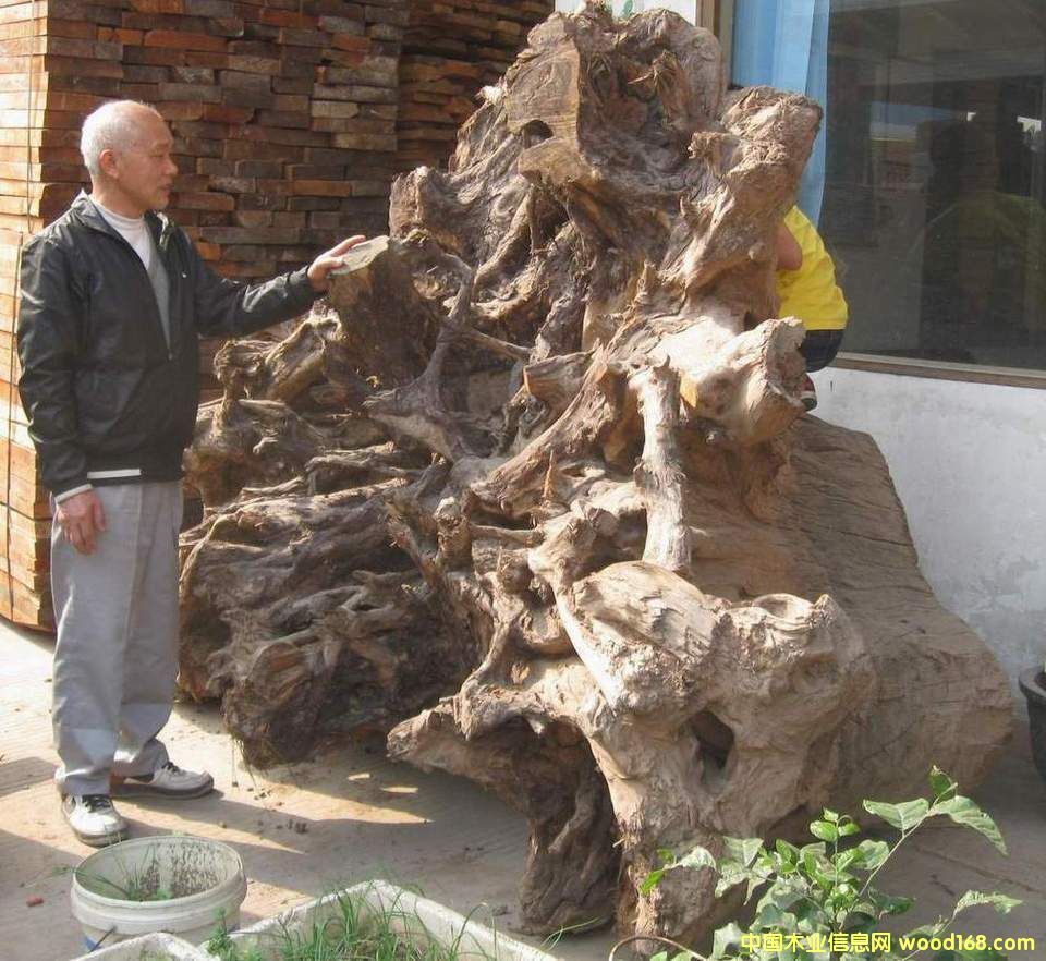 ������ؘ䶵1