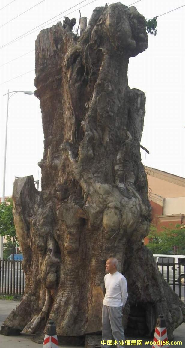 �����z骘���1