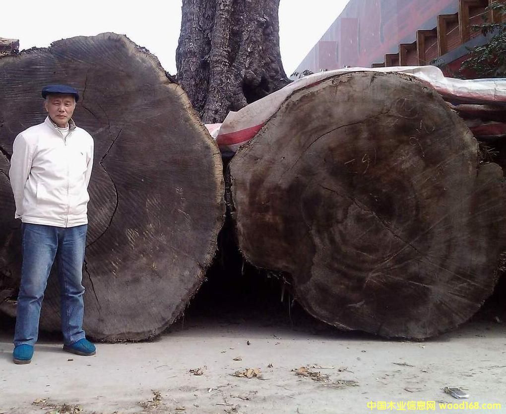 ����t��ɼ