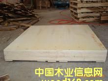 ����ľ�бP�����ڰ��b���Ԕ��(x��)��B