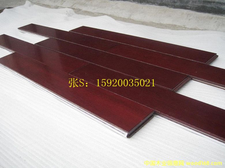 �ʰͶ�/�𲻓Q ��(sh��)ľ�ذ��Ԕ��(x��)��B