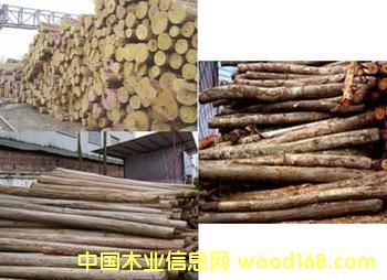 ɼľ���sľ��Ԕ��(x��)��B