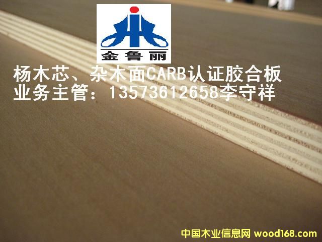 ��о���s��CARB�z�ϰ�