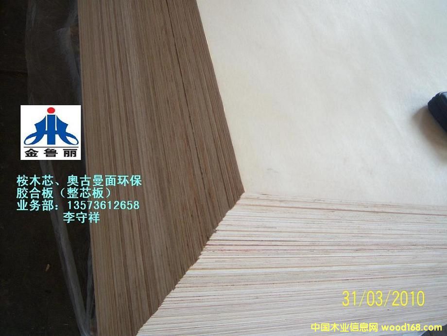 ɽ�|������ľ�z�ϰ��Ԕ��(x��)��B