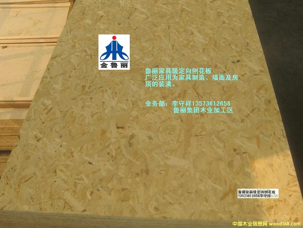 �������W�ɰ��Ԕ��(x��)��B