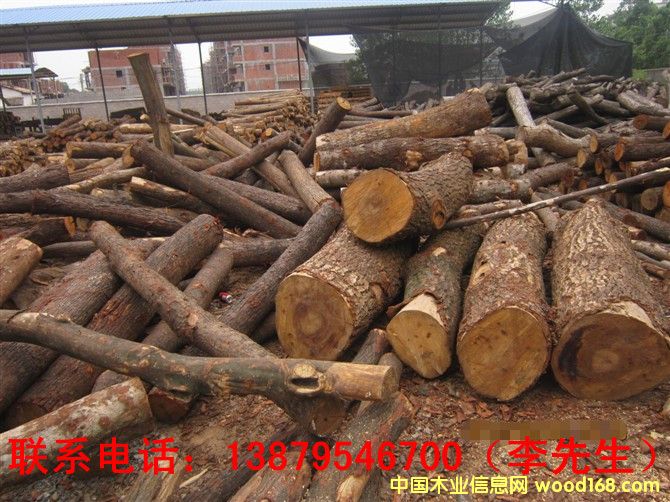 ��ľ��Ԕ����B