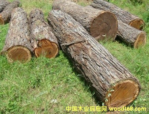 ��ľԭľ�ȼ���ABC/����Ĳ�