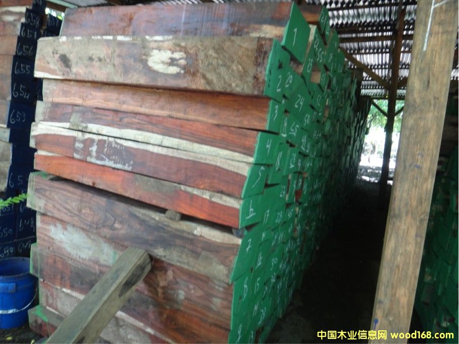 �������΢��ľ��